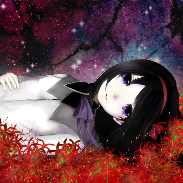 ほむほむ。