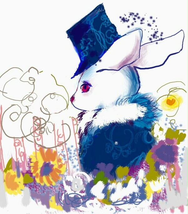 FancyRabbit