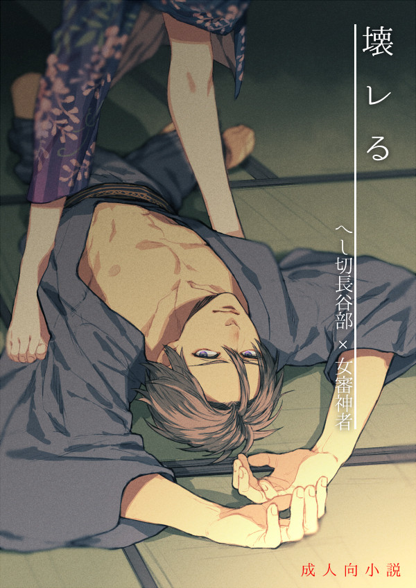 【18禁小説】壊レる【はせさに】