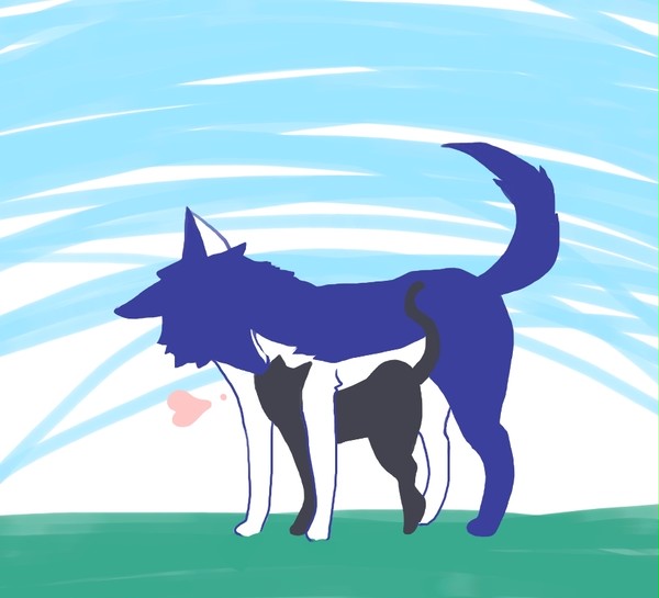 犬像さん×伏猫くん