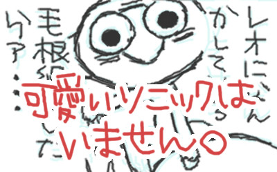 ソニックとレオ受け