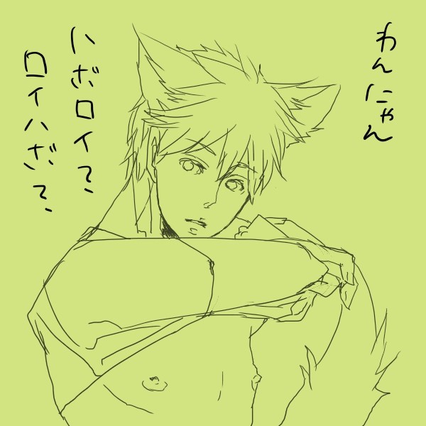 【腐向け】わんにゃんハボロイはぼ