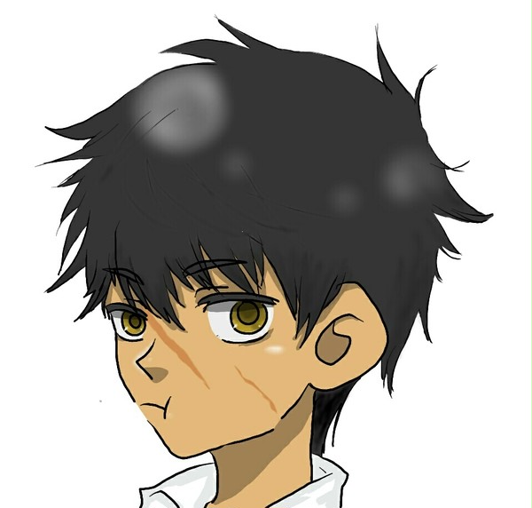 らくがきたぬき