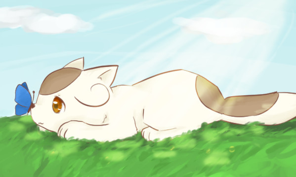 ひなたぼっこ