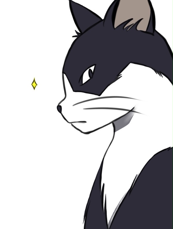 SP猫