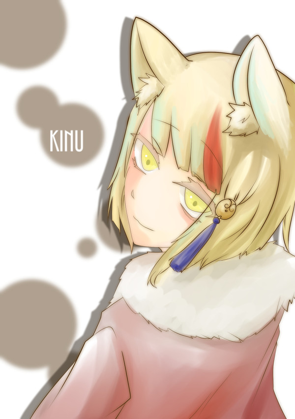 キヌたん