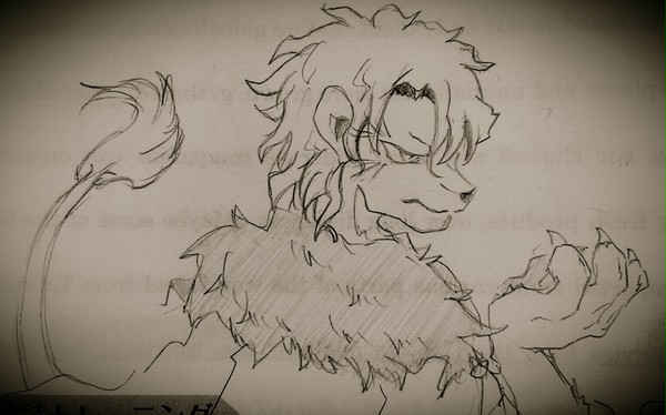 動物×人