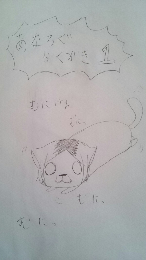 アナログ詰め。 色々ごちゃごちゃ。
