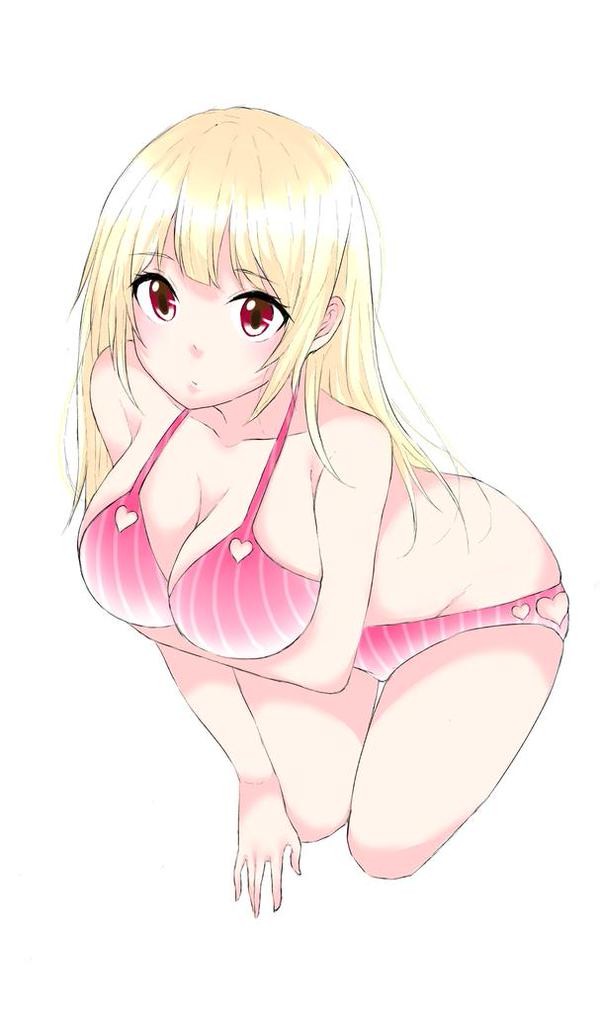 私の憧れ。