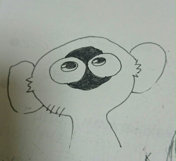 ソニック