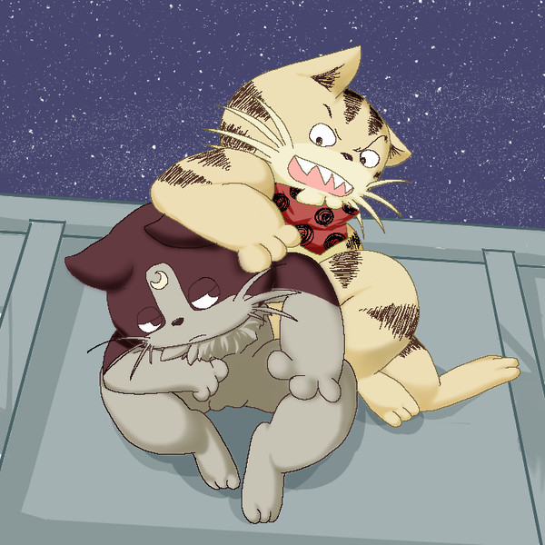 コテジュニ