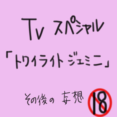 トワイライトジェミニ~その後