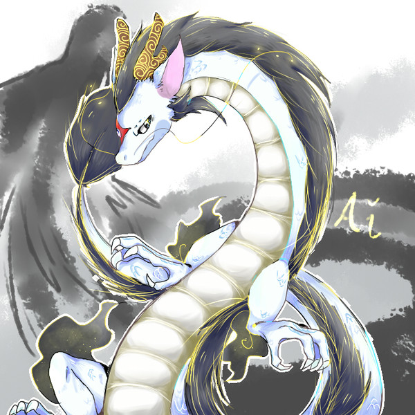 亲友私设