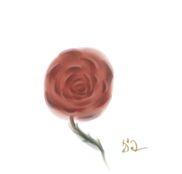 玫瑰花