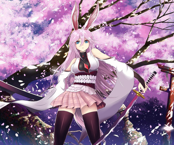 八雲 桜