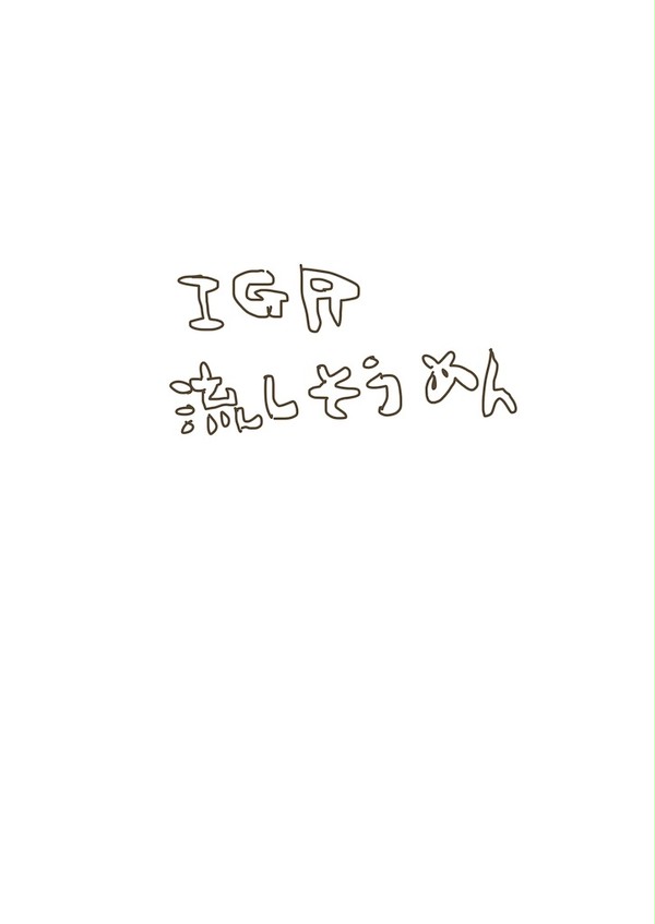 IGR流しそうめん