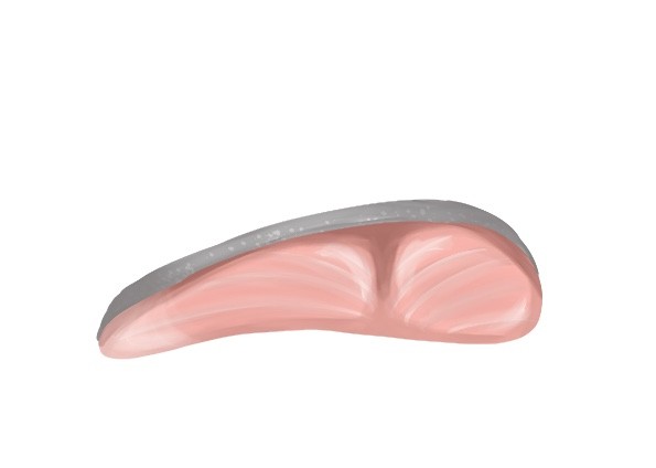 切り身