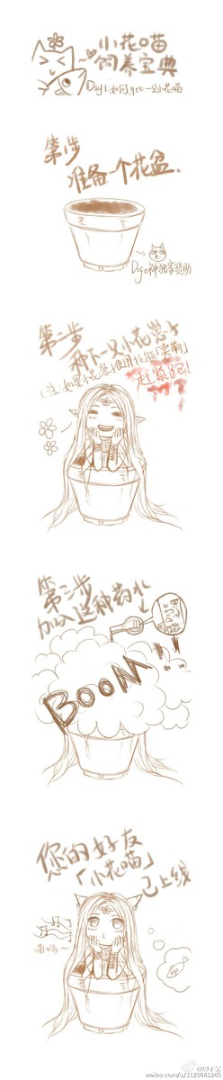 【Glorfindel】小花喵饲养宝典