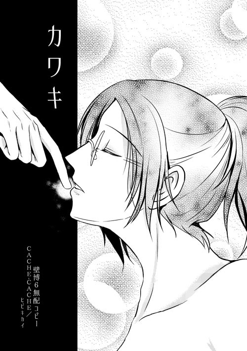 【壁博6無配】カワキ