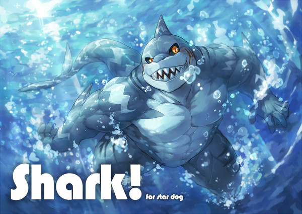 Shark!
