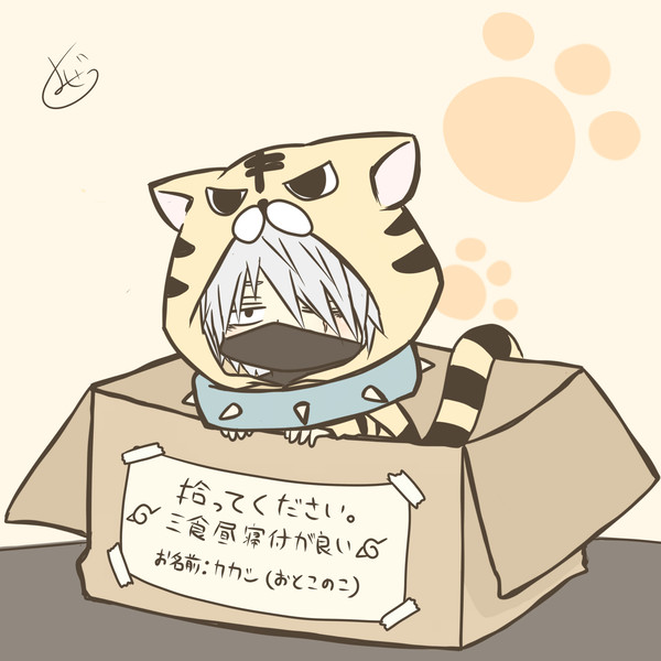 捨てちびカカ