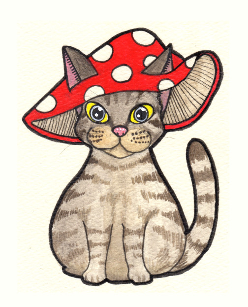 きのこ猫