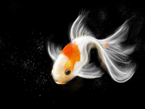 金魚