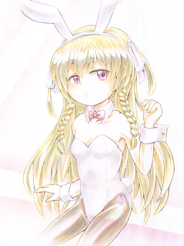 暑い夏に白うさぎ