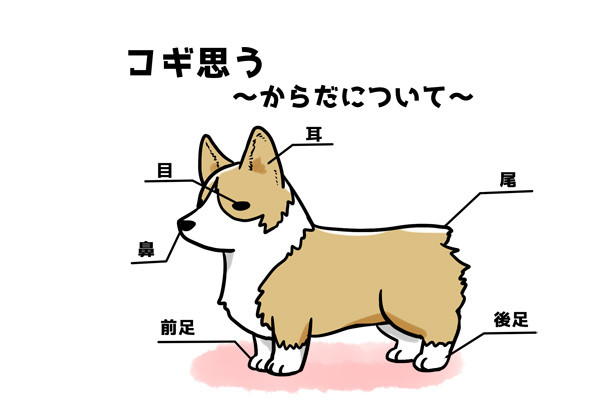コギ思う~からだについて~