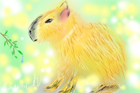 No11 カピパラ