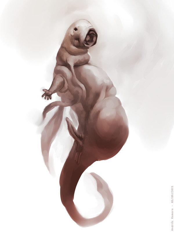 SIREN