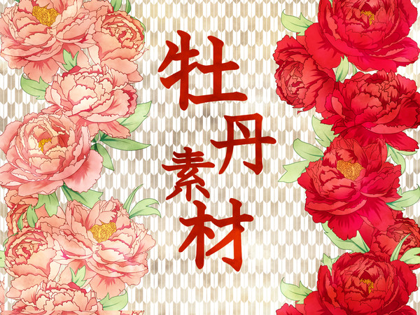 フリー素材■牡丹■