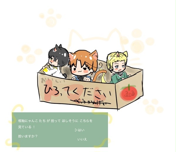 ねこみみすーじく