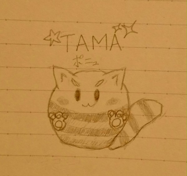 うろ覚えTAMA猫