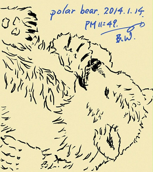 polar bear