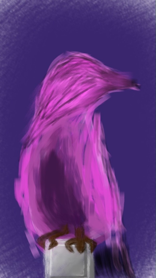SoundofaPlaygroudFading