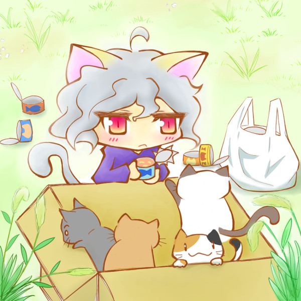 猫と猫缶と我慢と優しさとピトー