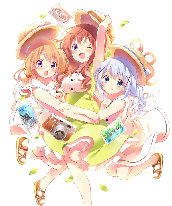 Is the order a rabbit? Ⅳ