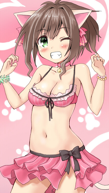 シーサイドキャット