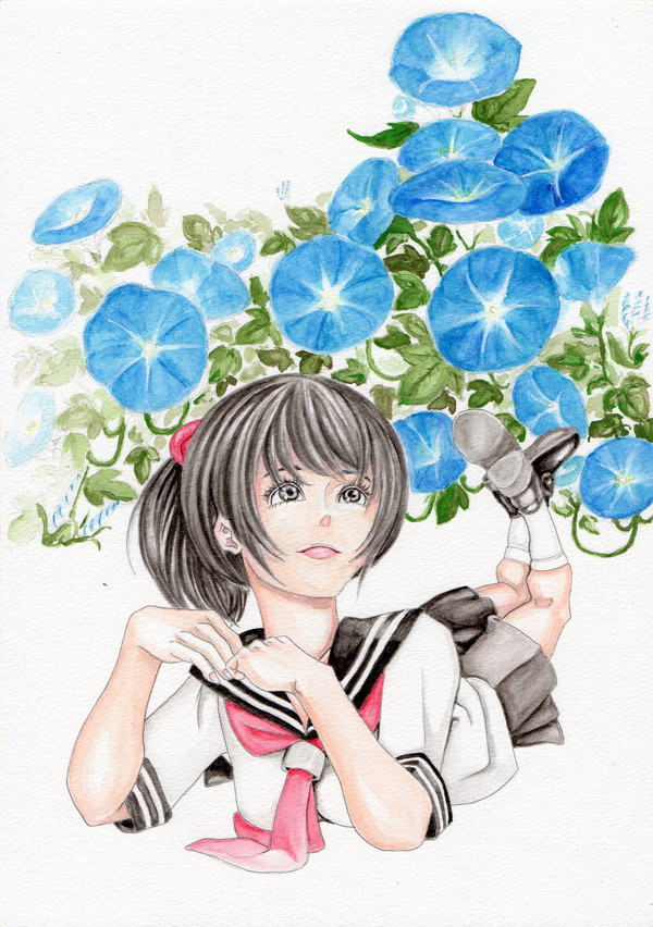 朝顔