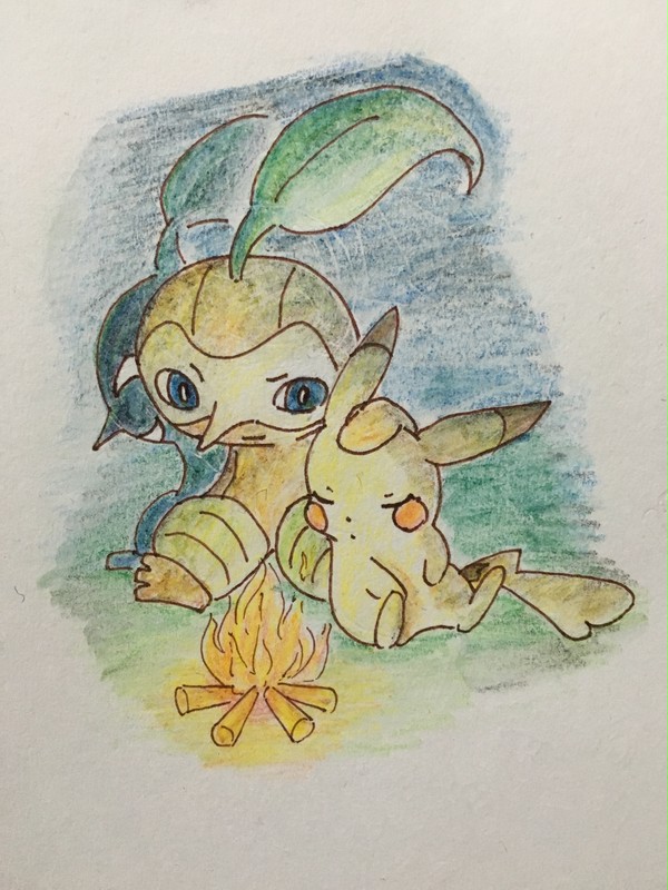 ポケモン世界での初めての夜