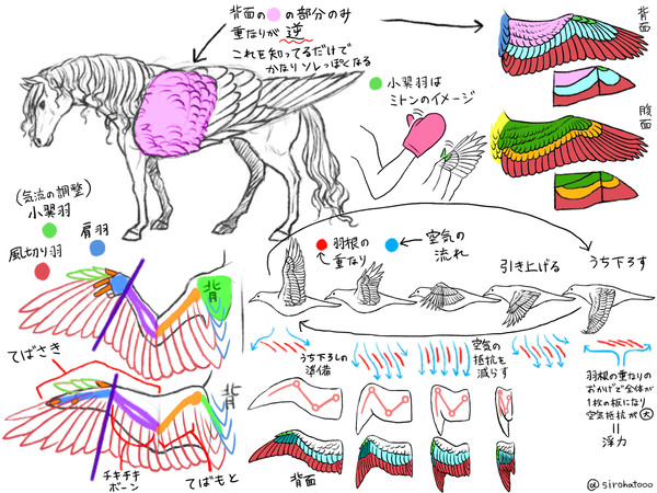 翼の描き方