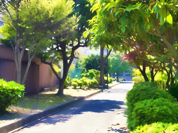木漏れ日の小道