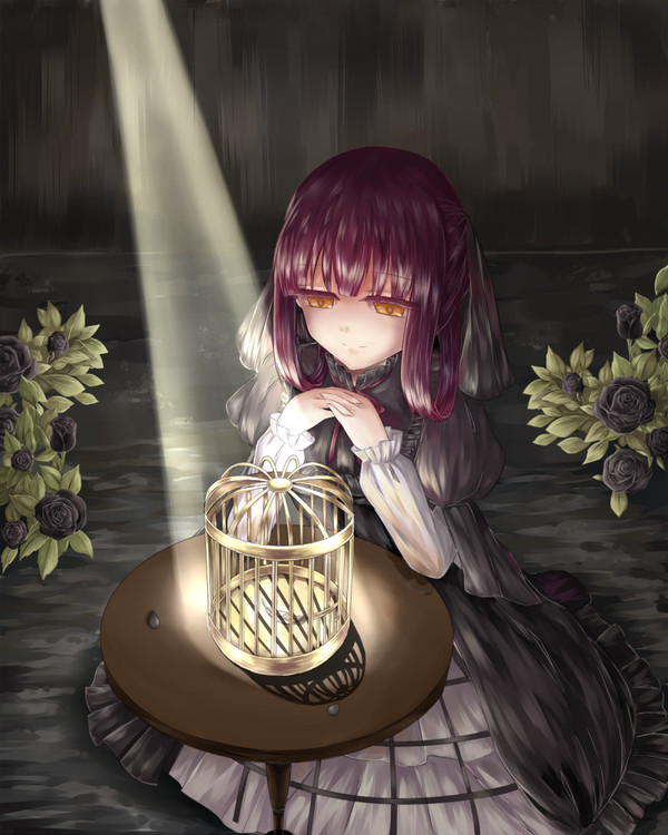 Birdcage