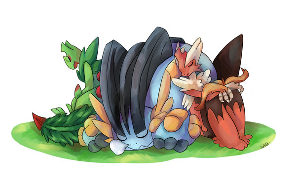 Poke Slumber