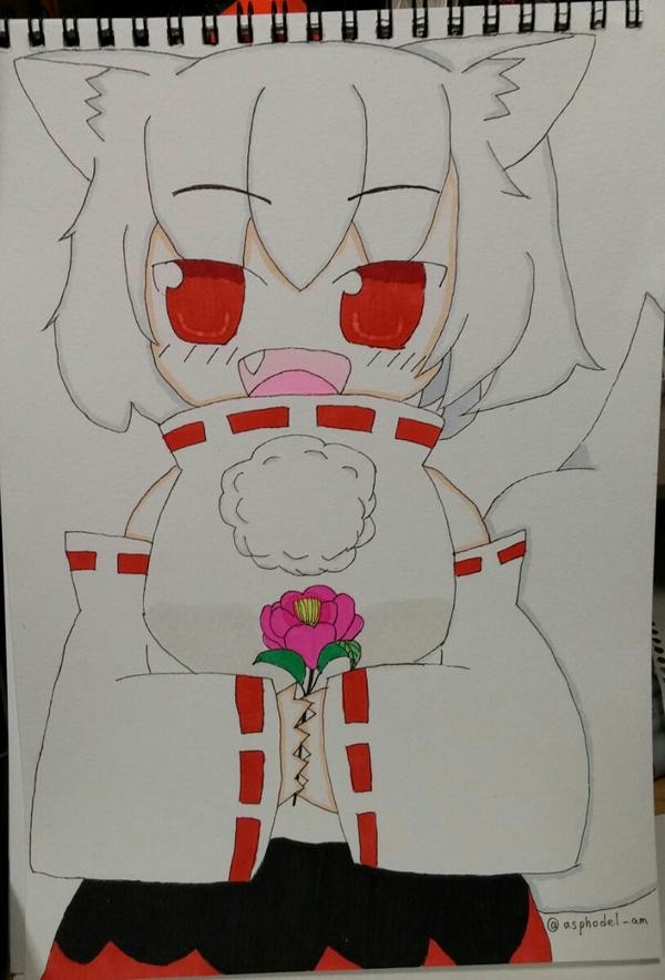 山茶花椛ちゃん