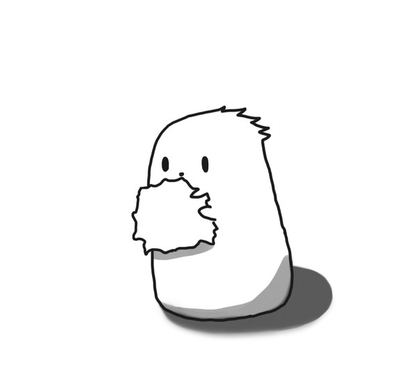 チコ