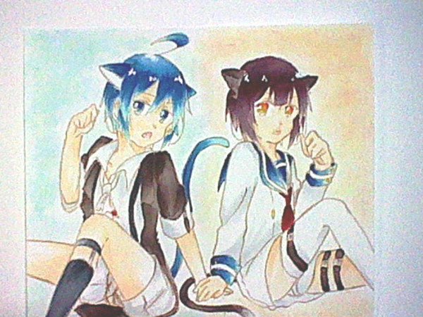 にゃー