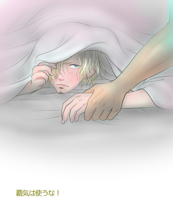 覇気は使うな・・・・ほどほどで