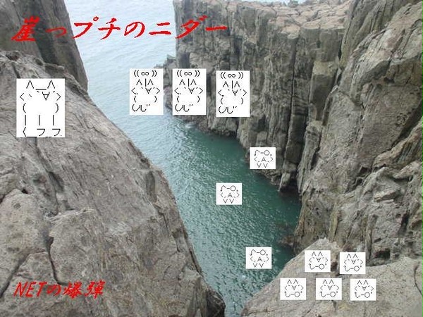 崖っぷちのニダー